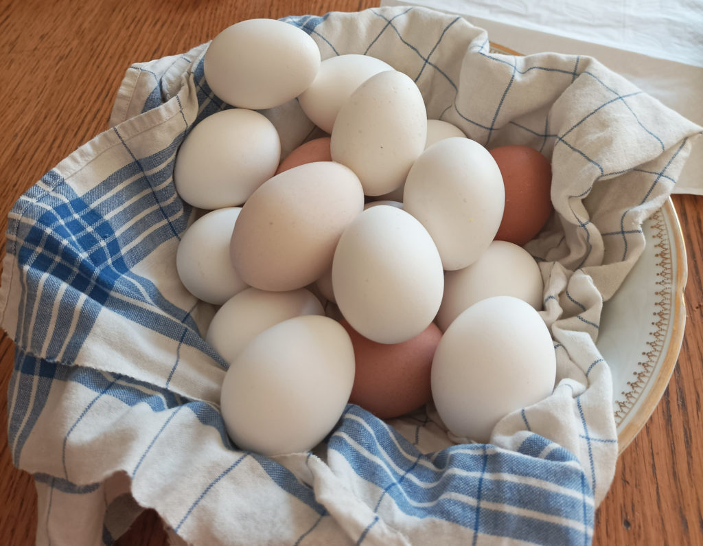 Uvařená vajíčka na malování