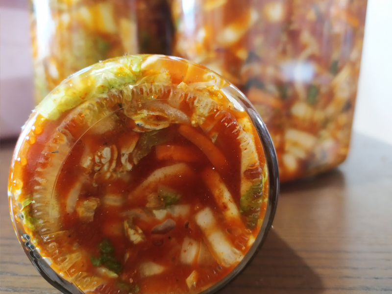 domácí kimči - recept pro začátečníky