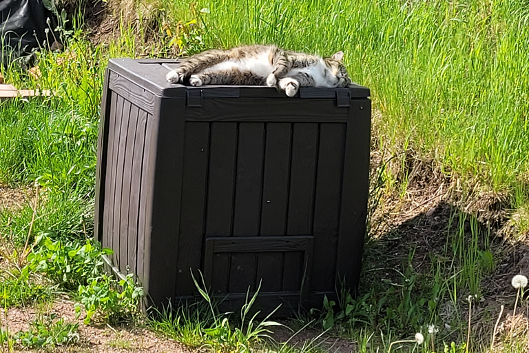 Kočka leží na kompostéru